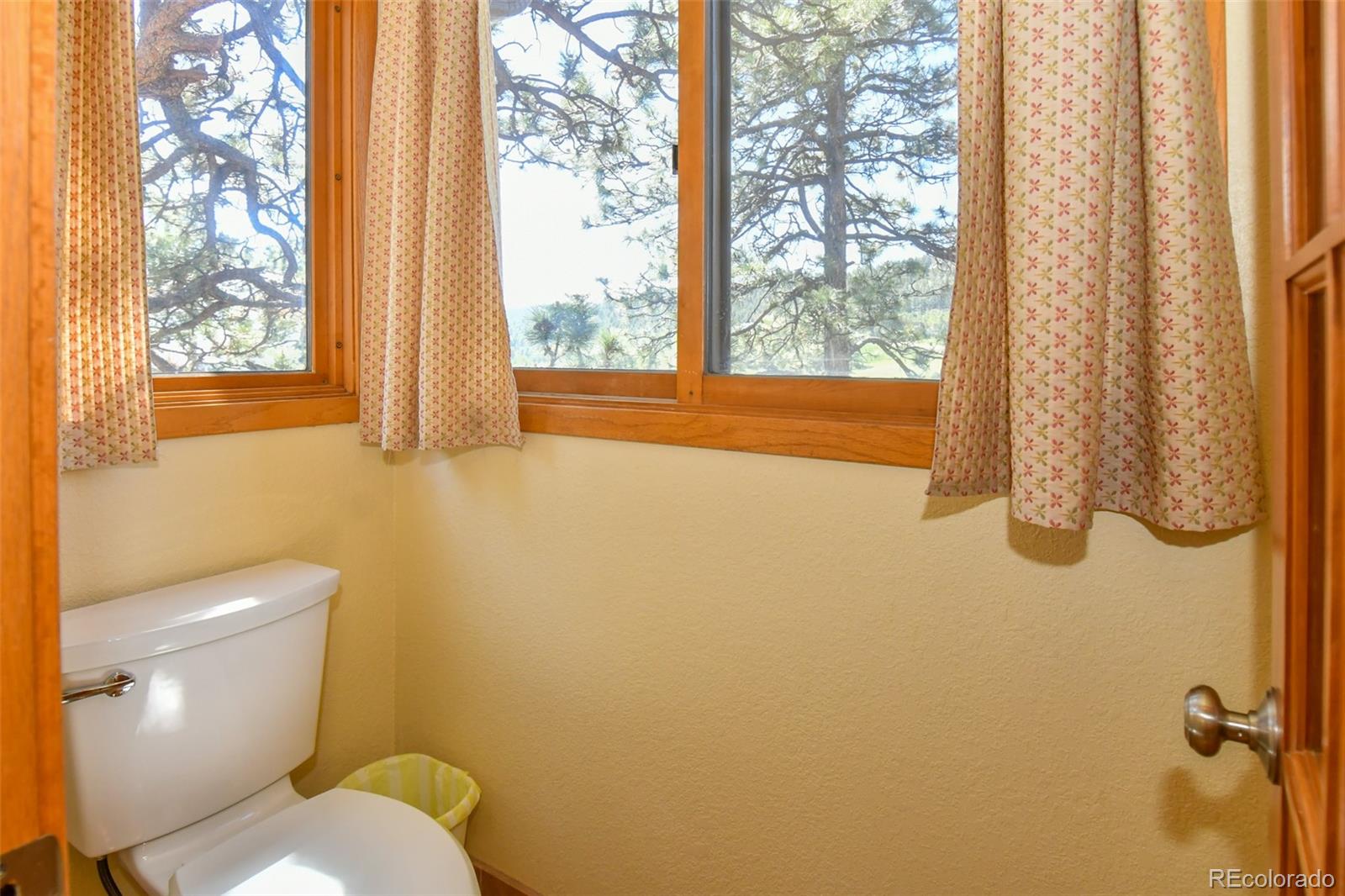 MLS Image #37 for 25758  summergreen lane,golden, Colorado
