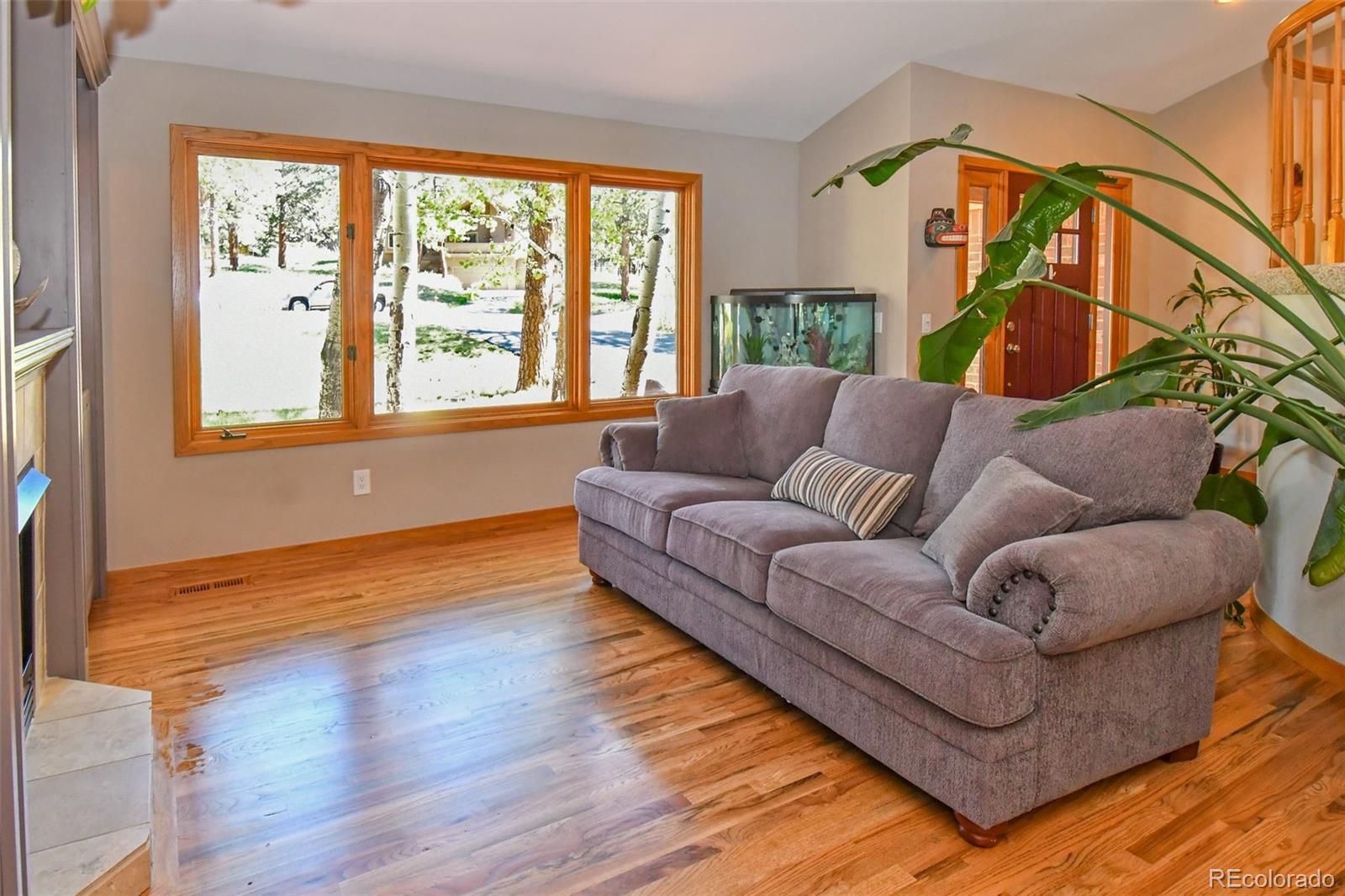 MLS Image #9 for 25758  summergreen lane,golden, Colorado