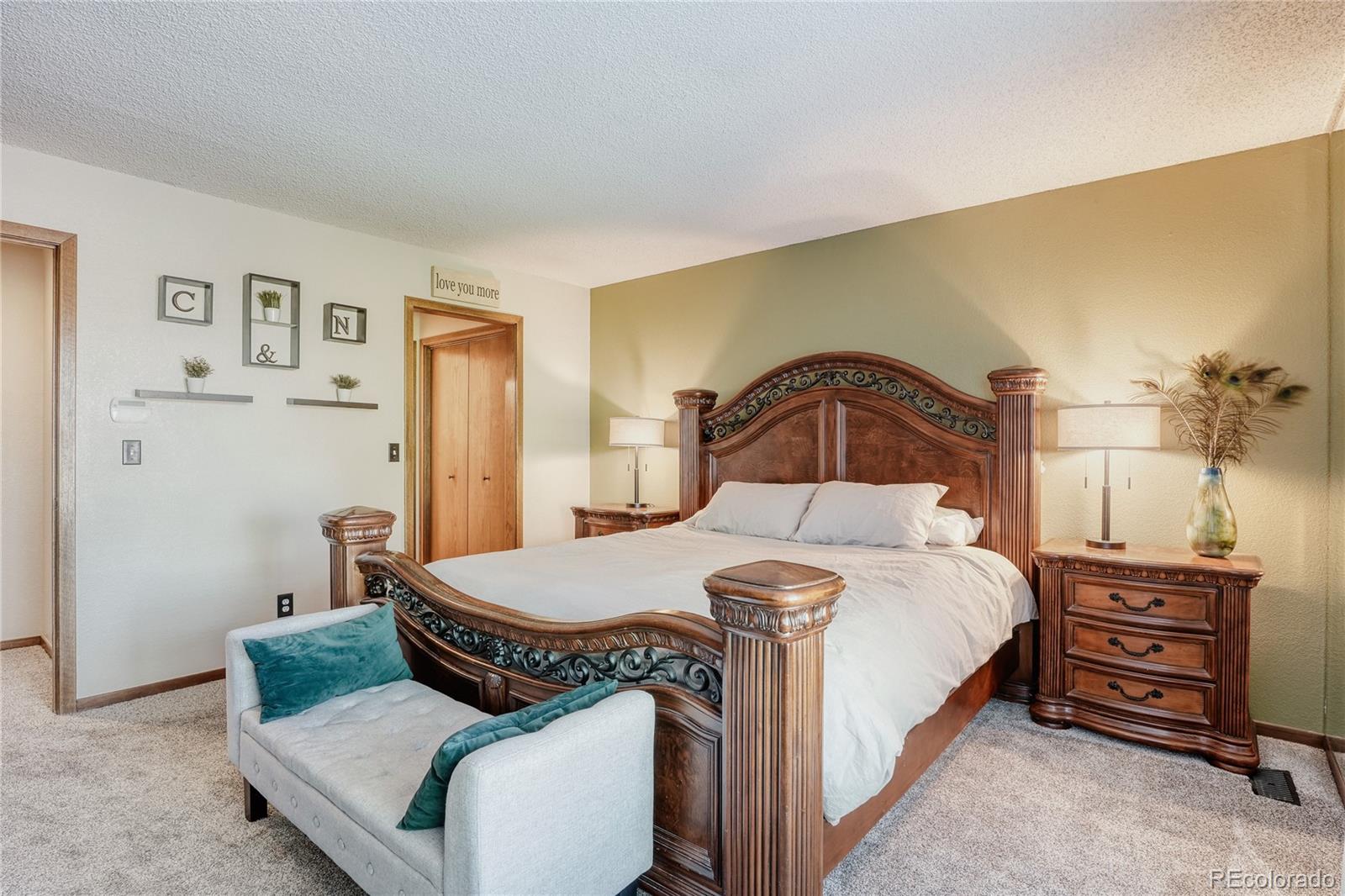 MLS Image #10 for 254  zang street,lakewood, Colorado