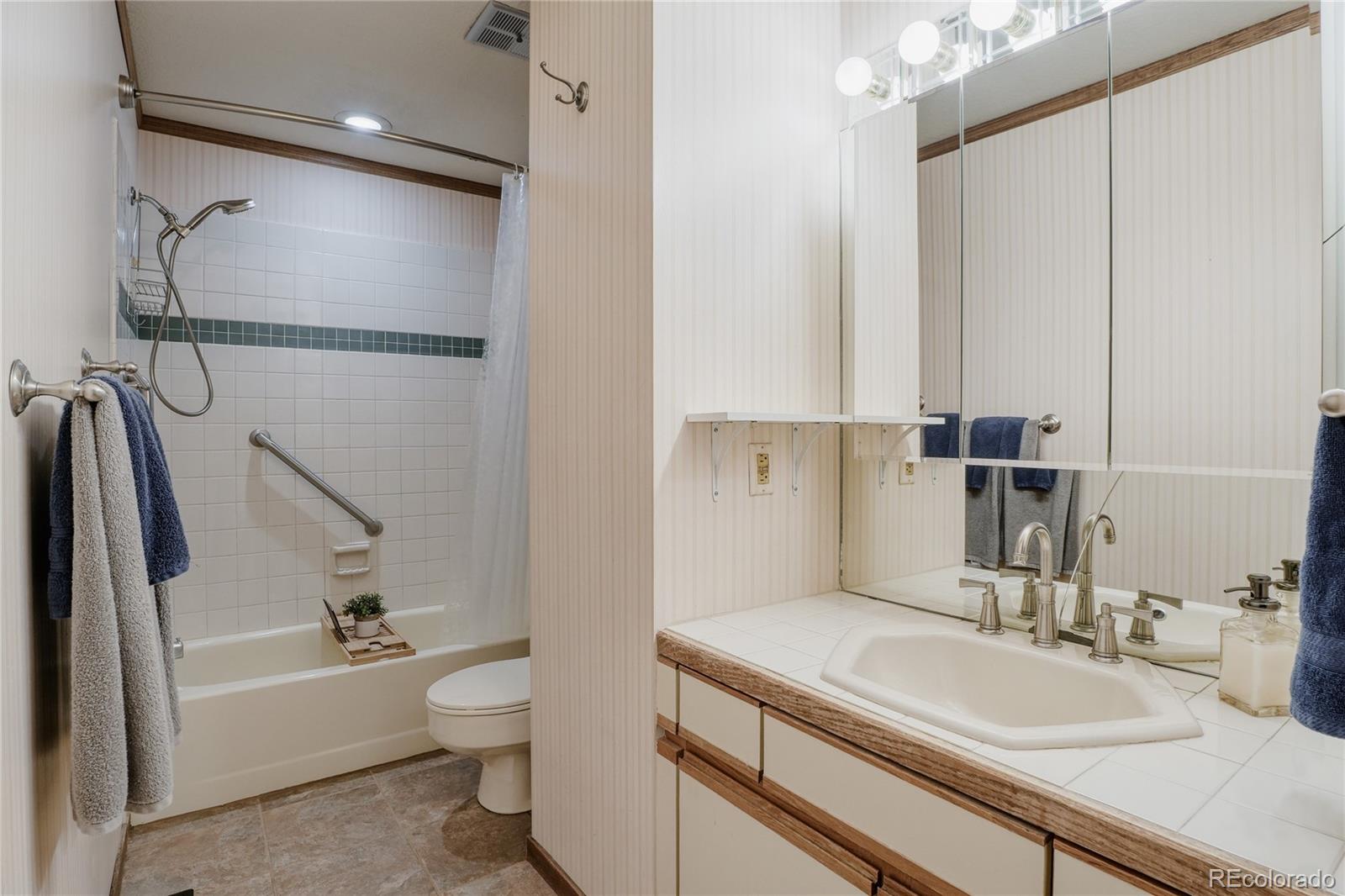 MLS Image #12 for 254  zang street,lakewood, Colorado
