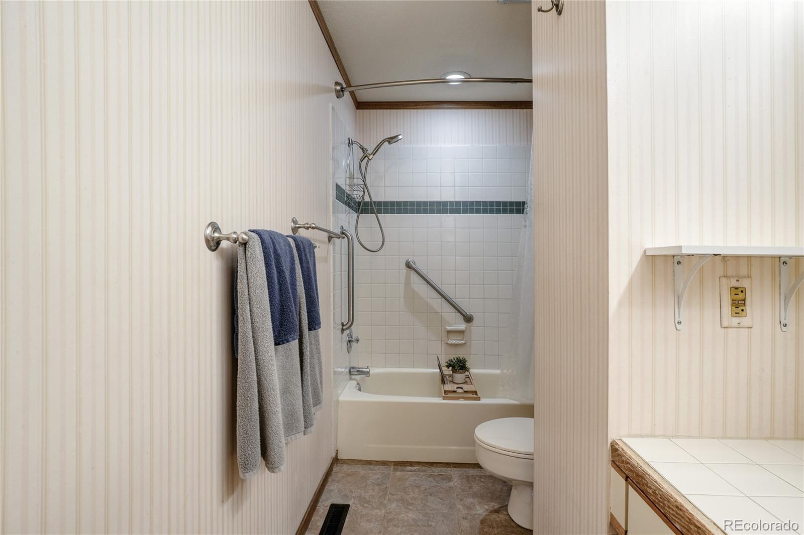 MLS Image #13 for 254  zang street,lakewood, Colorado