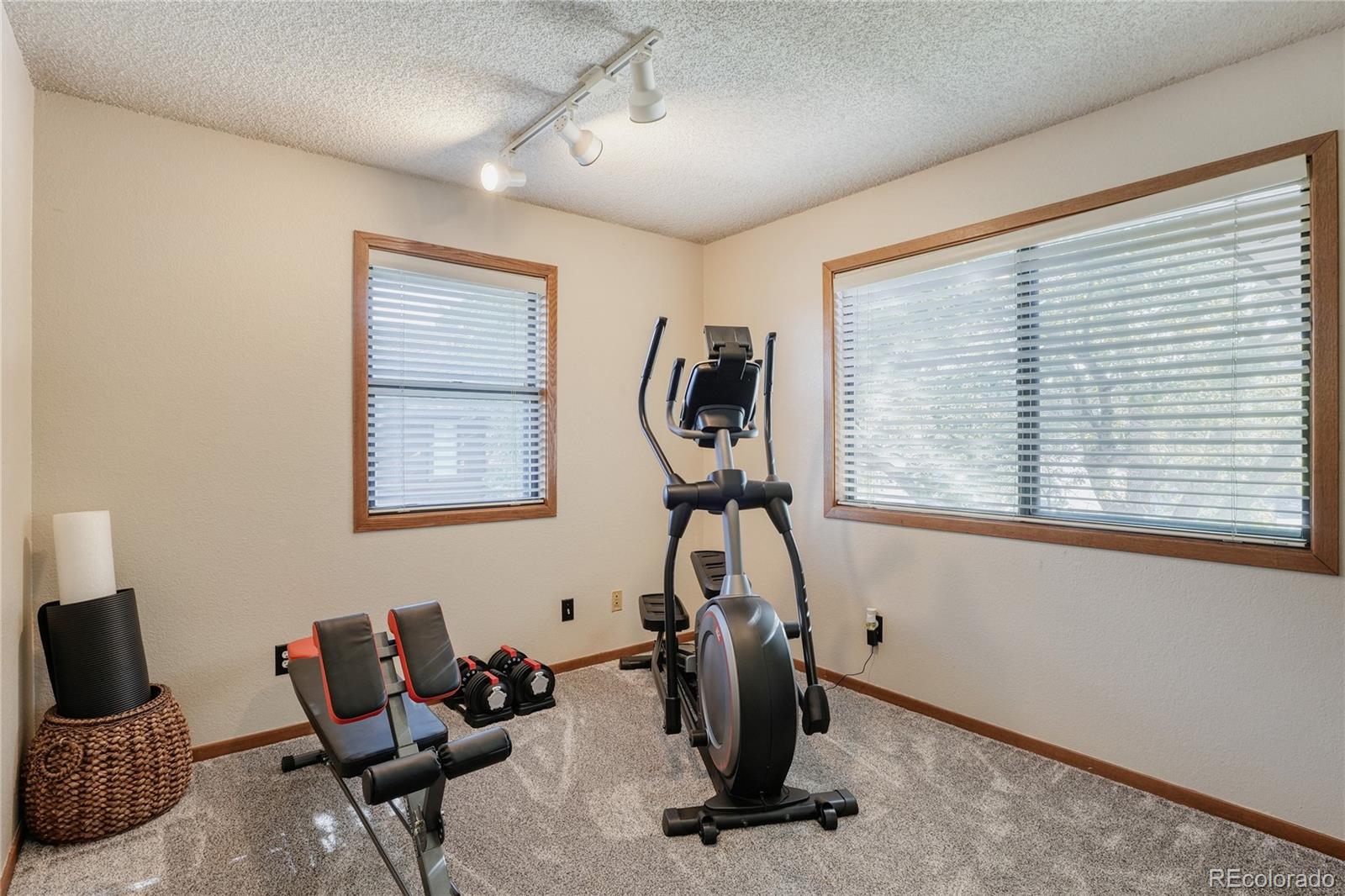 MLS Image #14 for 254  zang street,lakewood, Colorado