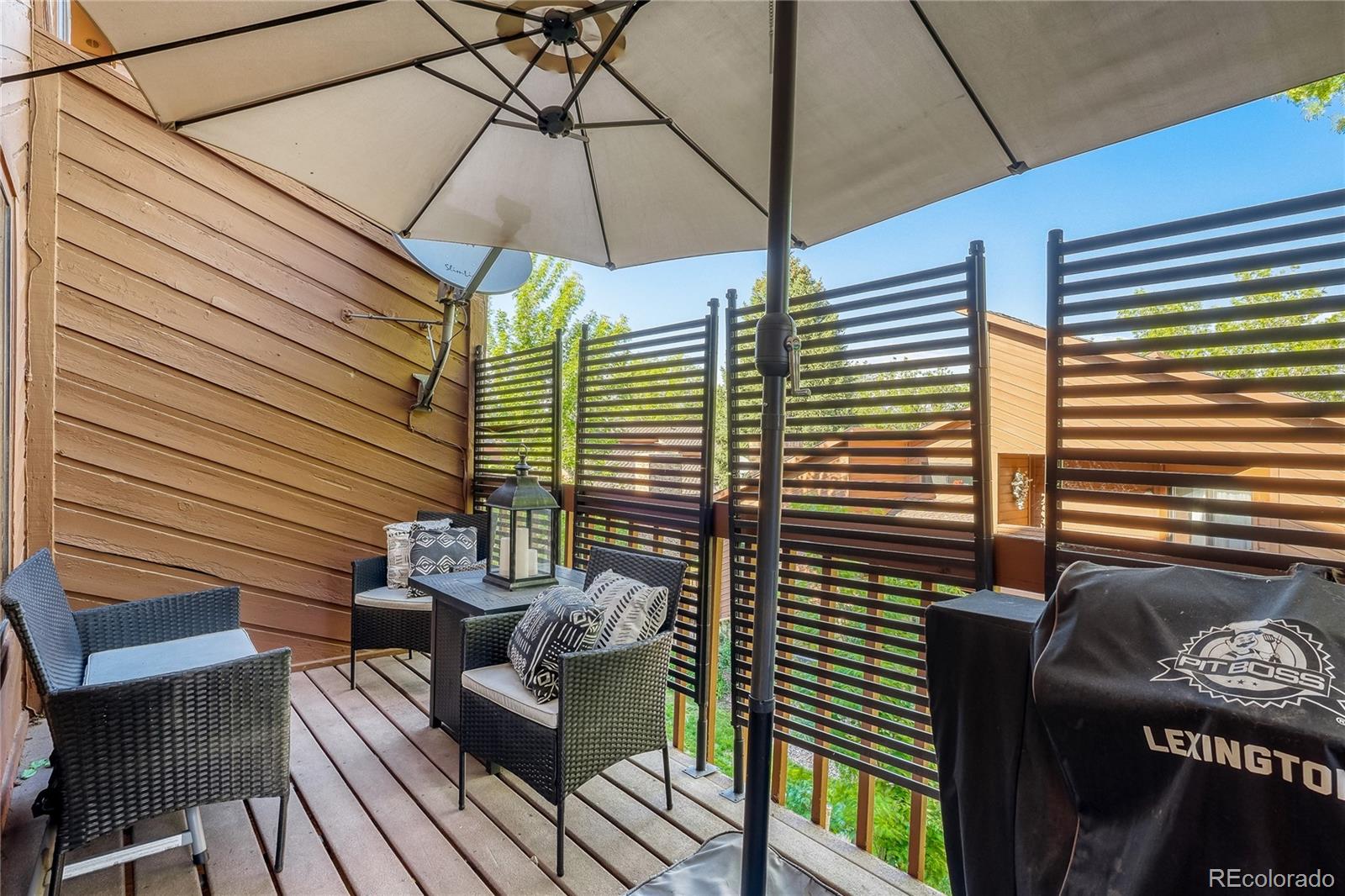 MLS Image #9 for 254  zang street,lakewood, Colorado