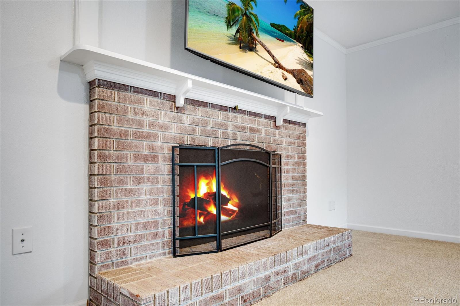 MLS Image #19 for 5416 s timberline road,fort collins, Colorado