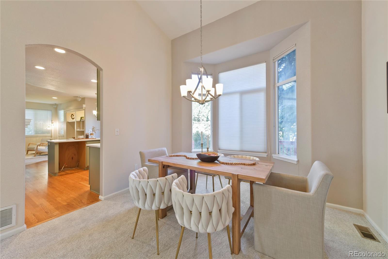 MLS Image #5 for 10037  sylvestor road,highlands ranch, Colorado