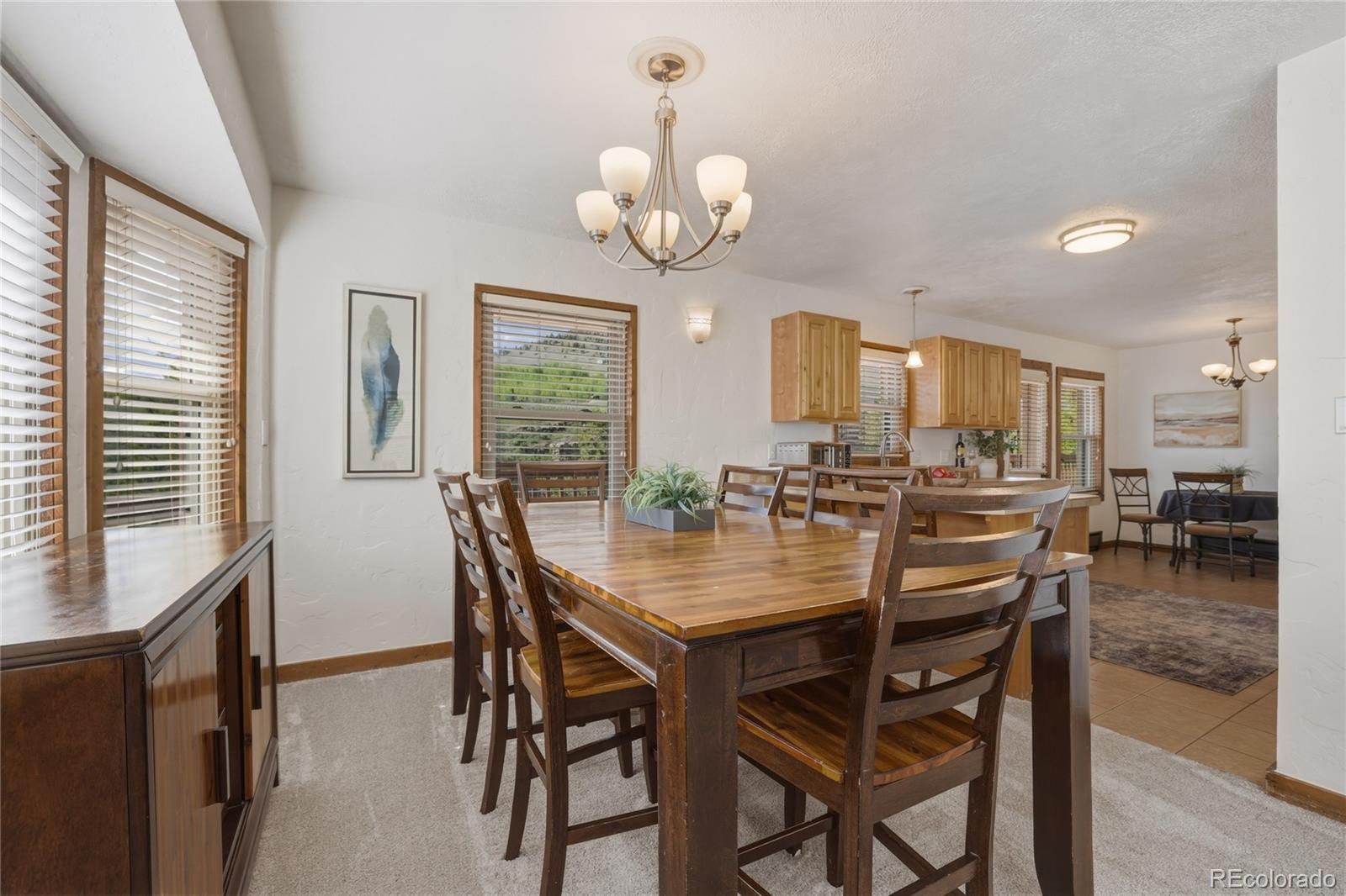MLS Image #7 for 468  piney acres circle,dillon, Colorado