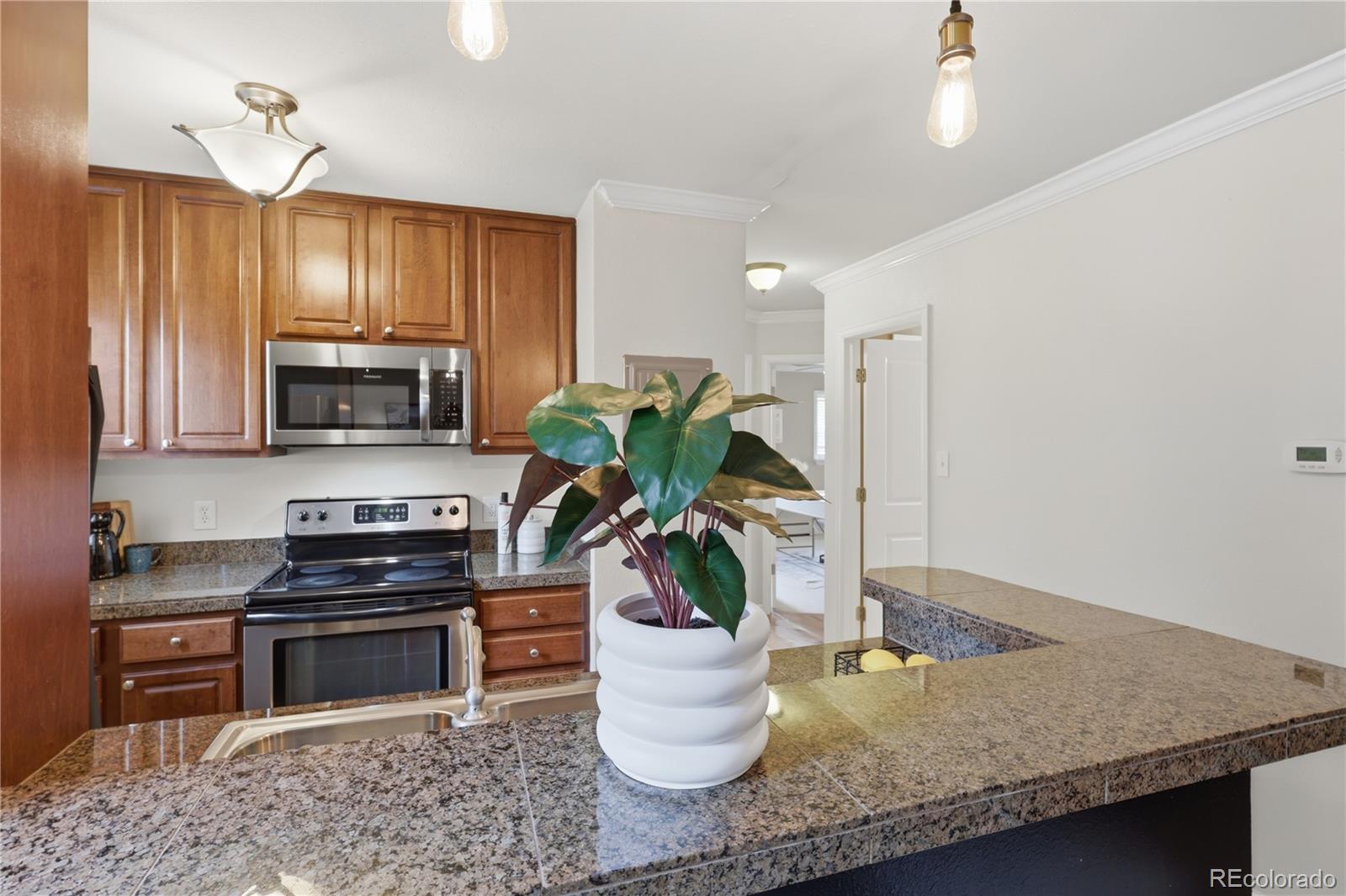 MLS Image #17 for 2020 e 14th avenue,denver, Colorado