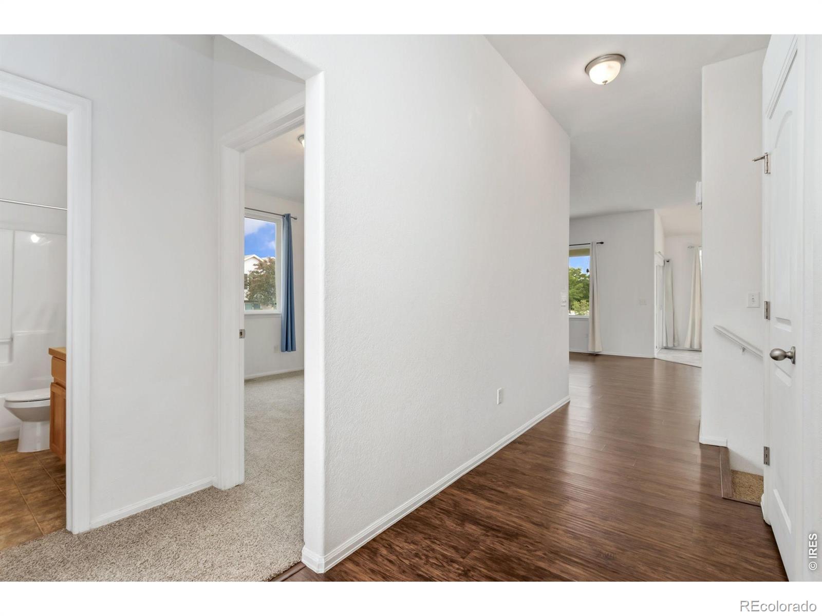 MLS Image #21 for 2202  maple hill drive,fort collins, Colorado