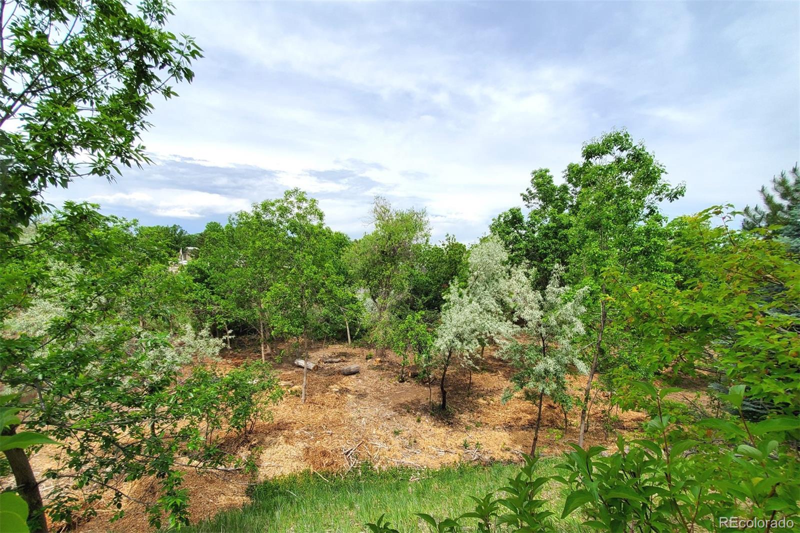 MLS Image #35 for 6697 s forest way,centennial, Colorado