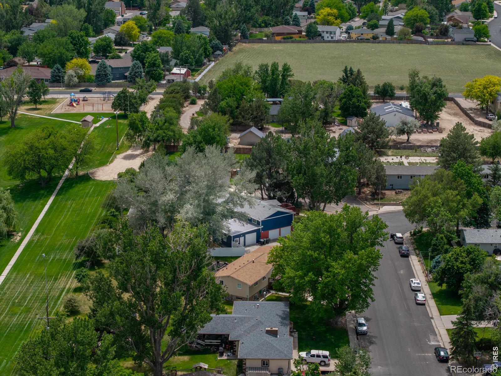 MLS Image #11 for 905  krista kort ,brush, Colorado