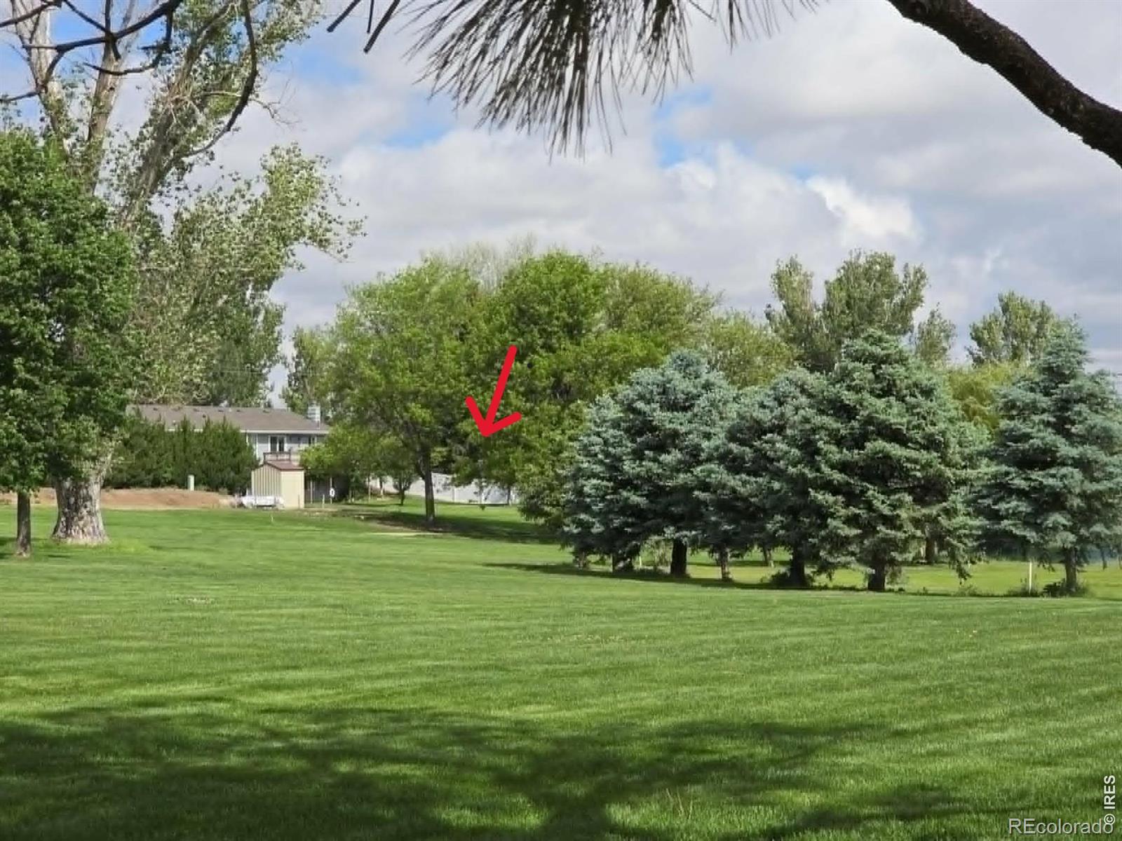 MLS Image #31 for 905  krista kort ,brush, Colorado