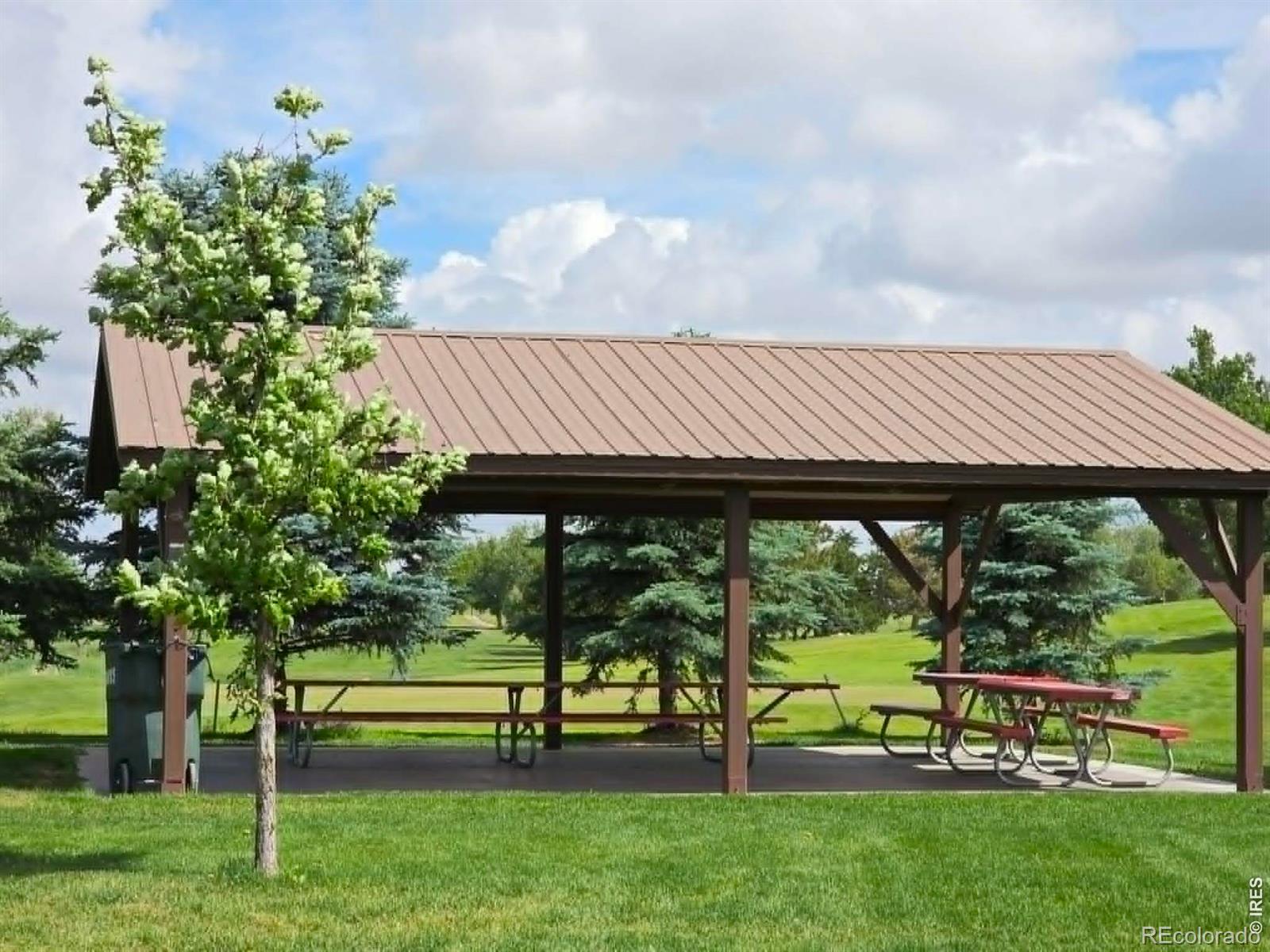 MLS Image #34 for 905  krista kort ,brush, Colorado