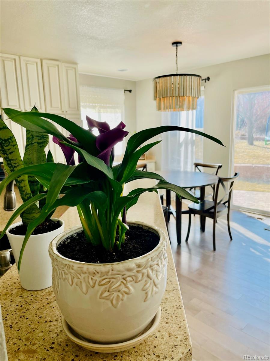 MLS Image #4 for 17002 w 66th lane,arvada, Colorado