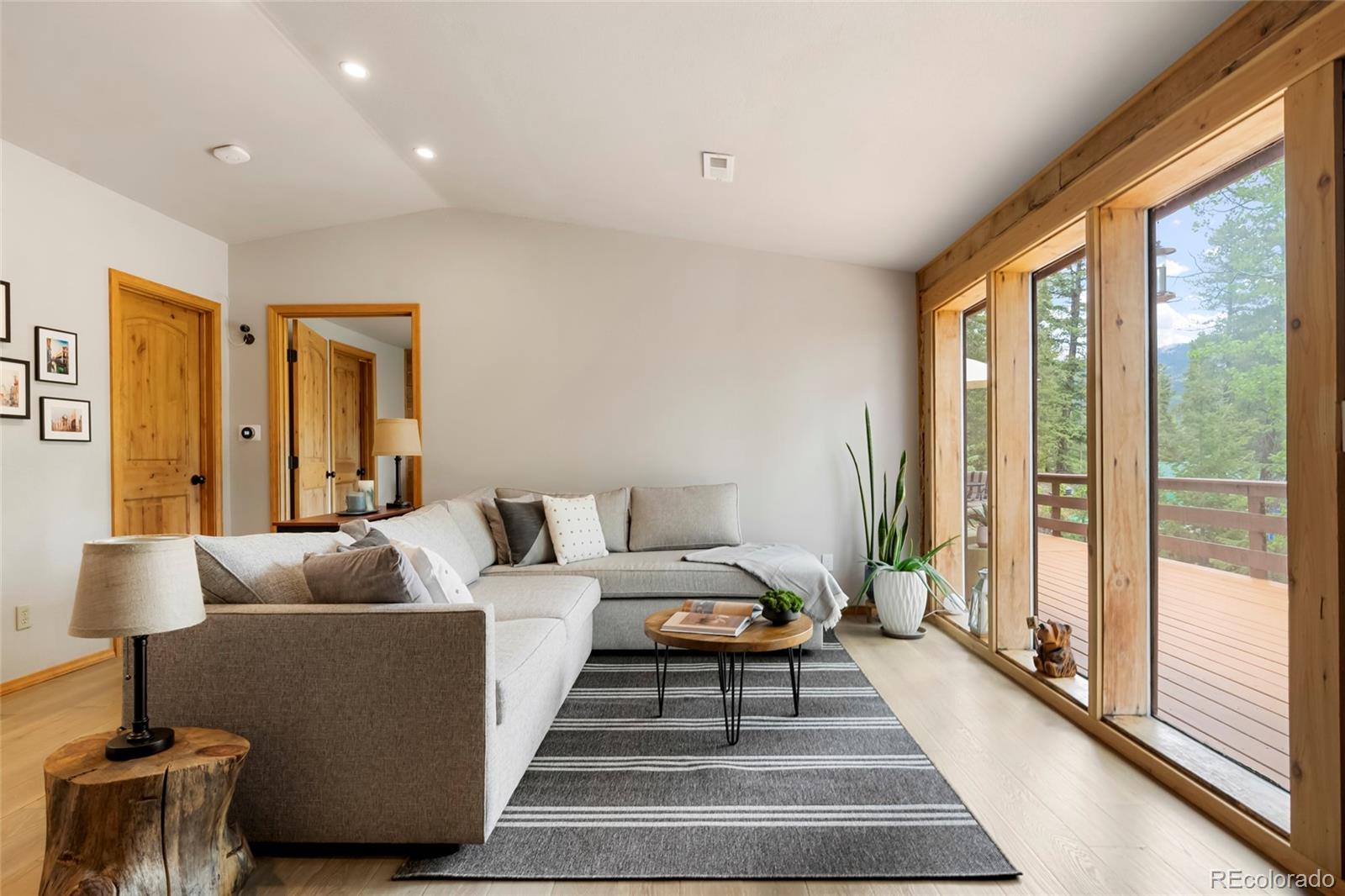 MLS Image #10 for 302  miners way,bailey, Colorado