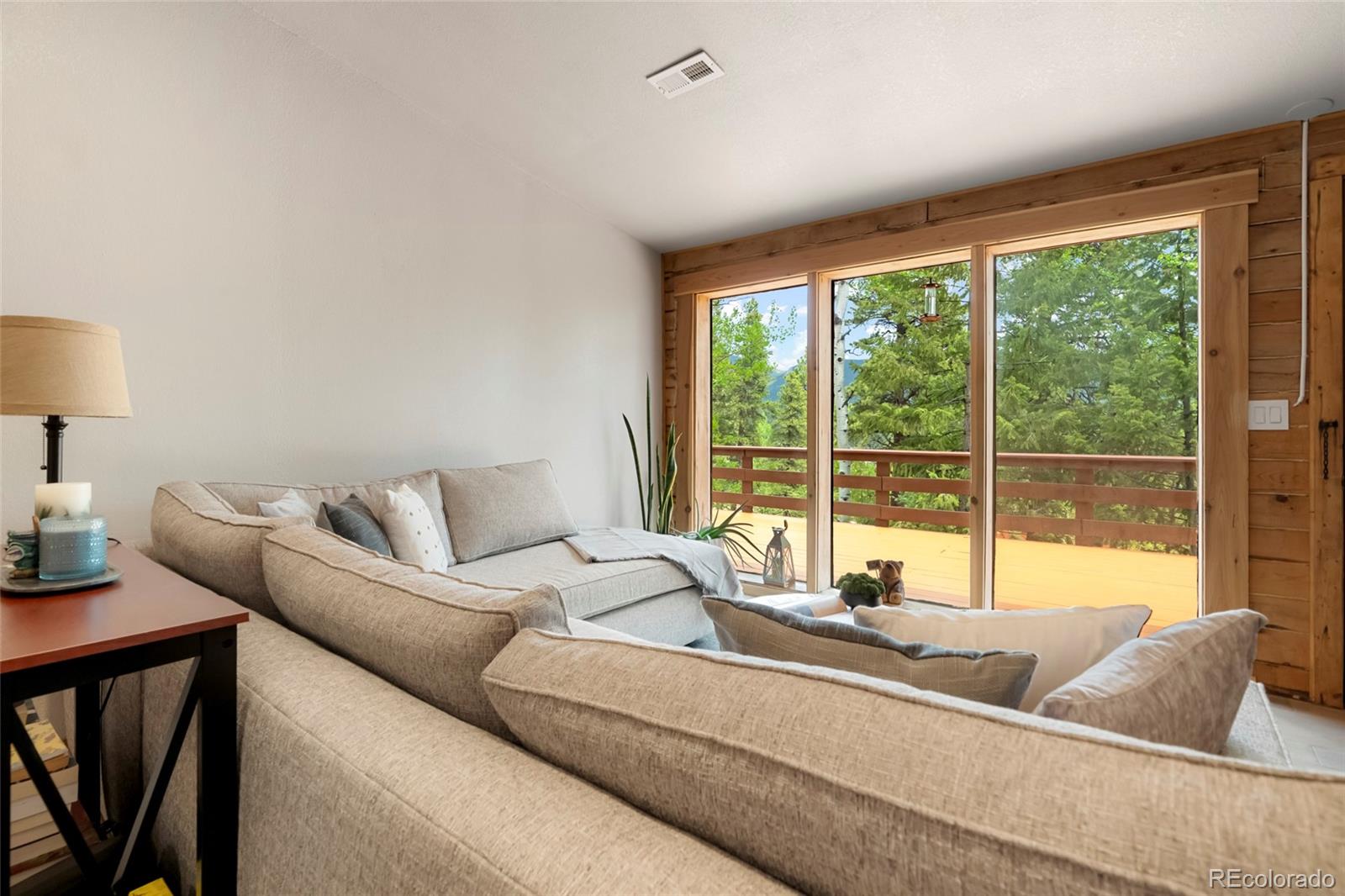 MLS Image #12 for 302  miners way,bailey, Colorado