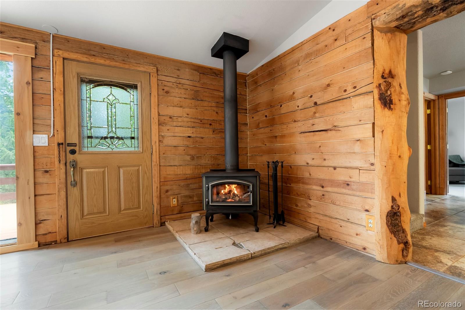 MLS Image #14 for 302  miners way,bailey, Colorado