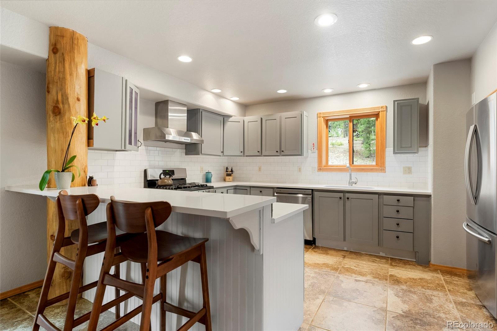 MLS Image #15 for 302  miners way,bailey, Colorado