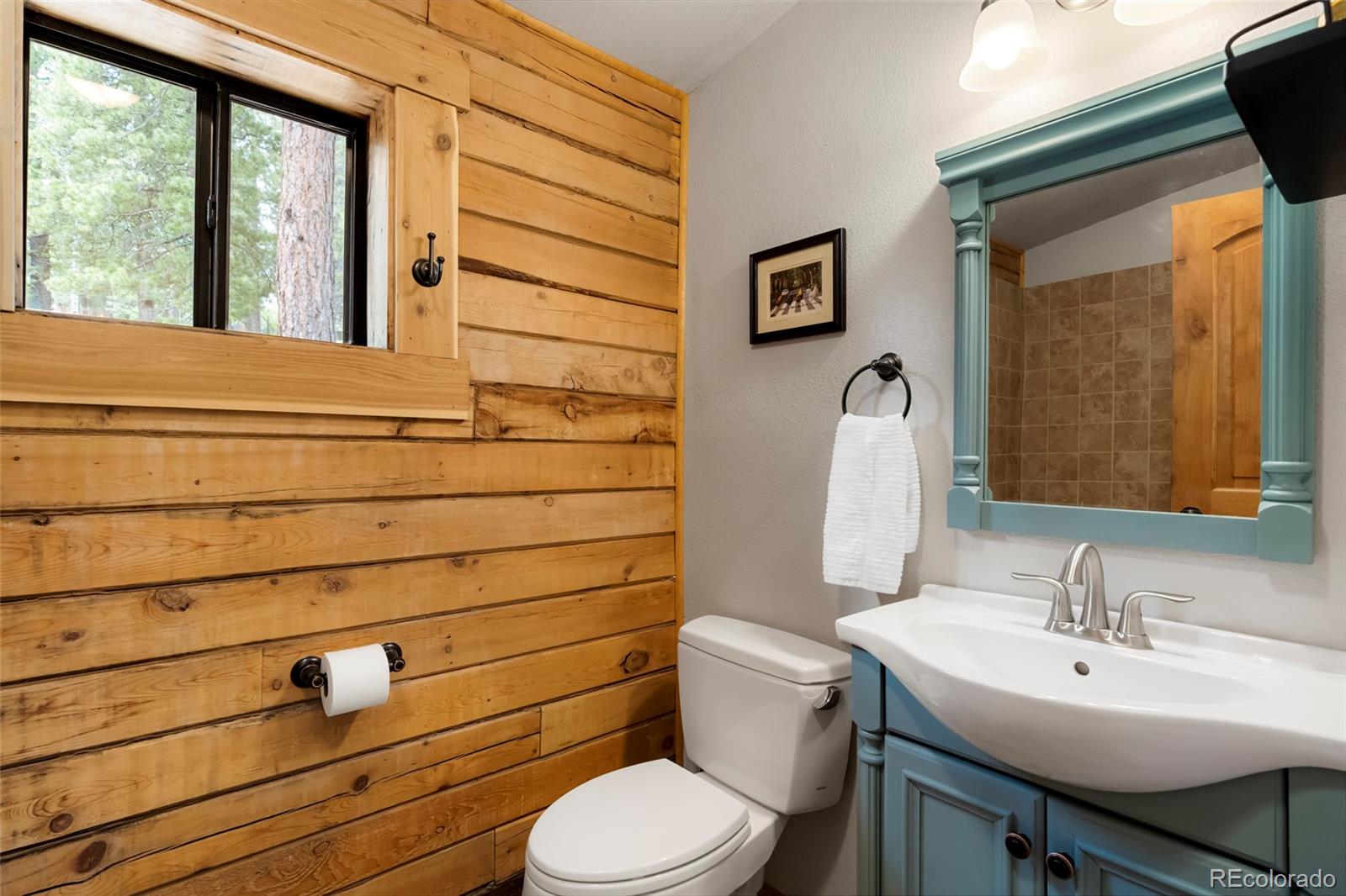 MLS Image #19 for 302  miners way,bailey, Colorado