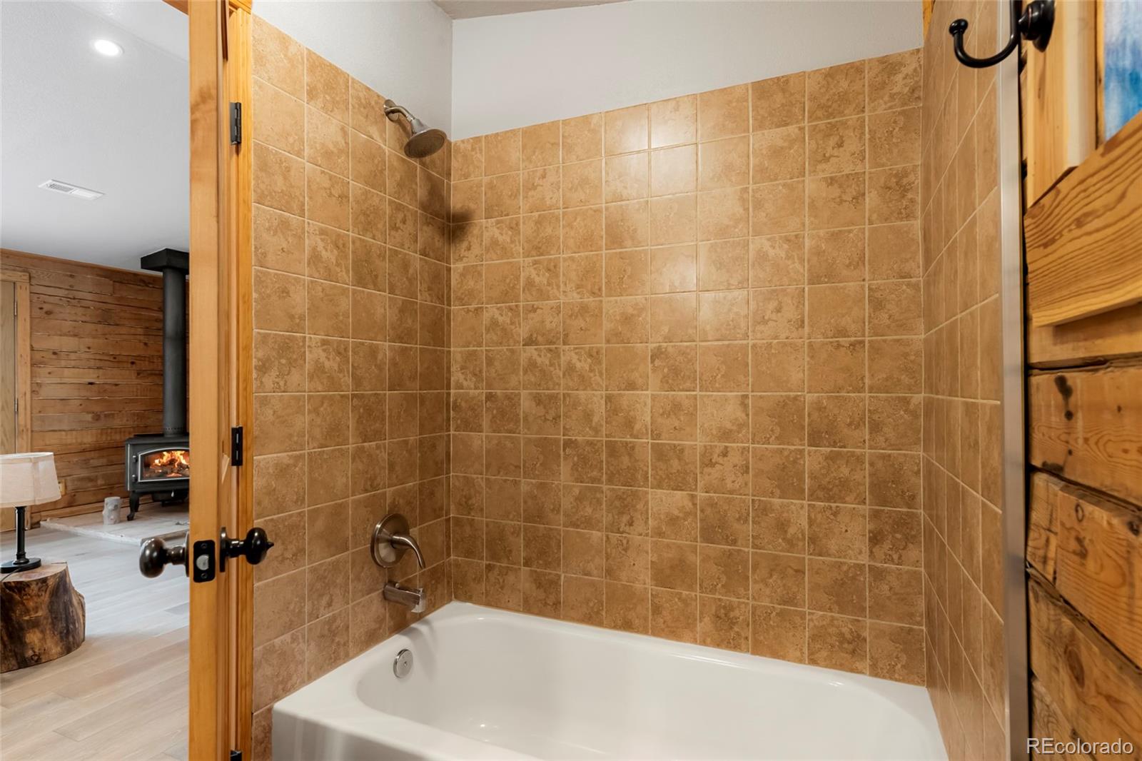 MLS Image #20 for 302  miners way,bailey, Colorado
