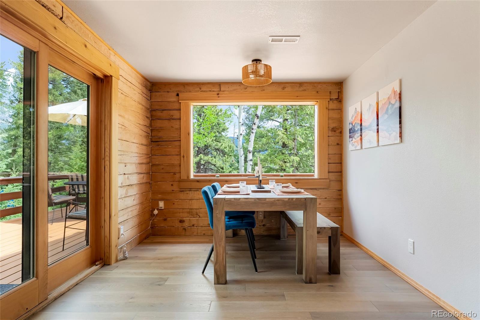 MLS Image #21 for 302  miners way,bailey, Colorado