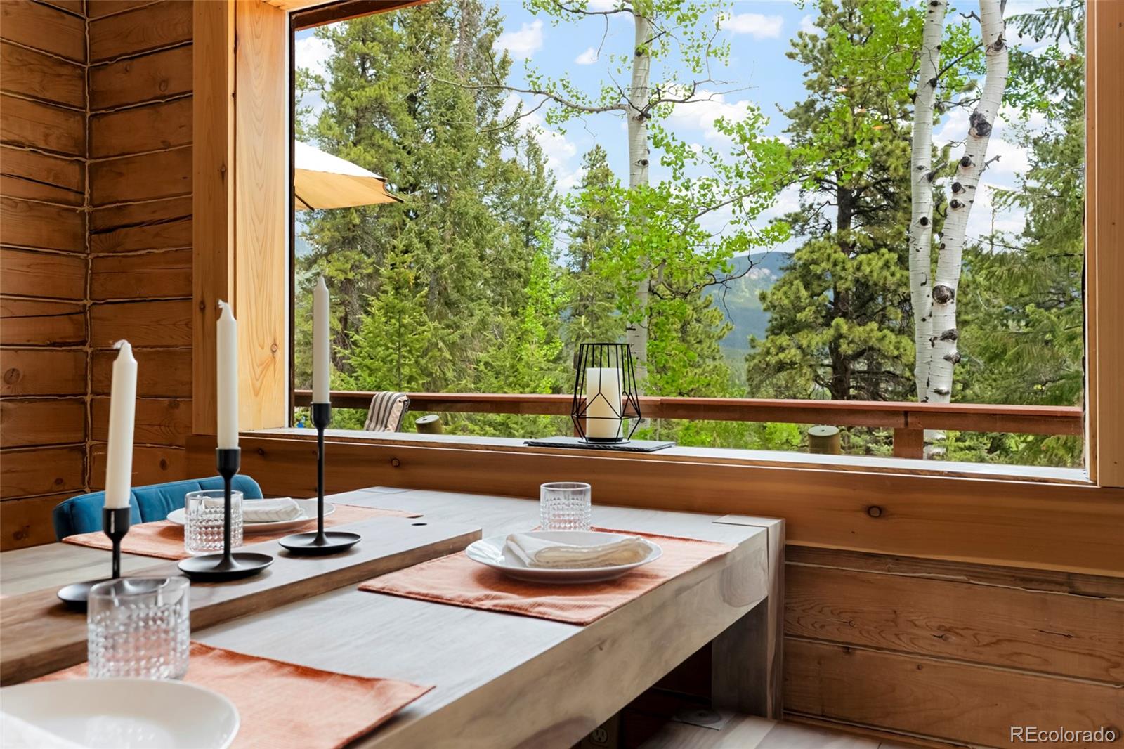 MLS Image #22 for 302  miners way,bailey, Colorado