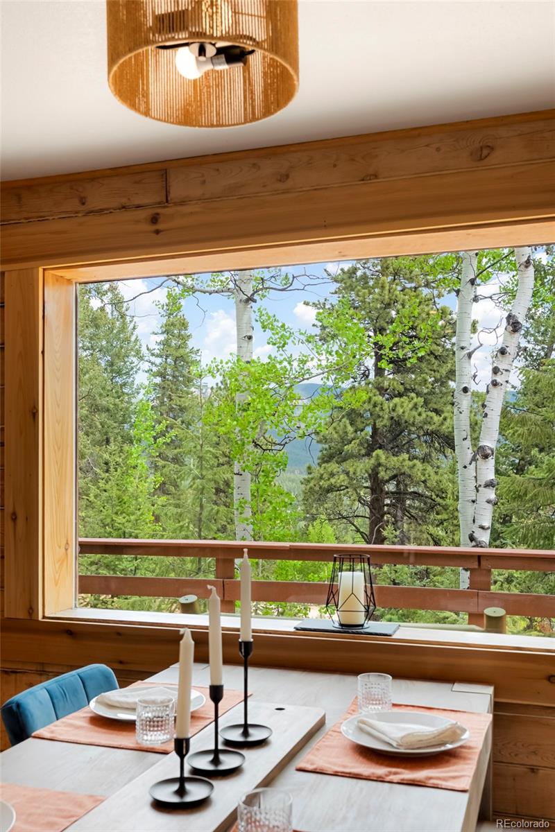 MLS Image #23 for 302  miners way,bailey, Colorado