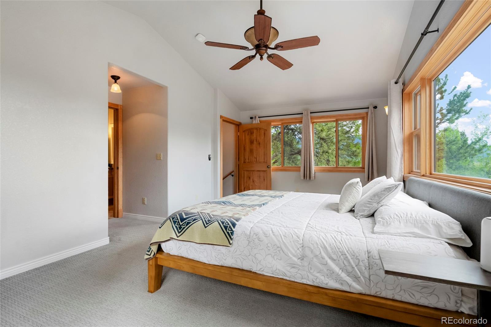 MLS Image #28 for 302  miners way,bailey, Colorado