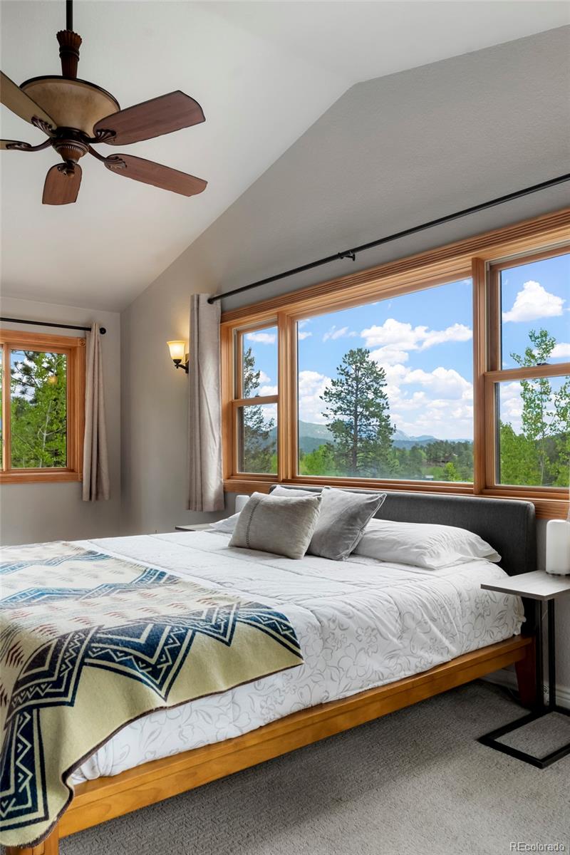 MLS Image #30 for 302  miners way,bailey, Colorado