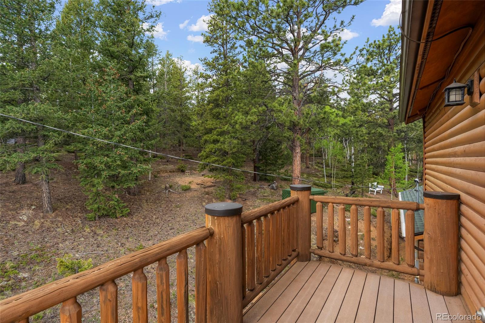 MLS Image #38 for 302  miners way,bailey, Colorado