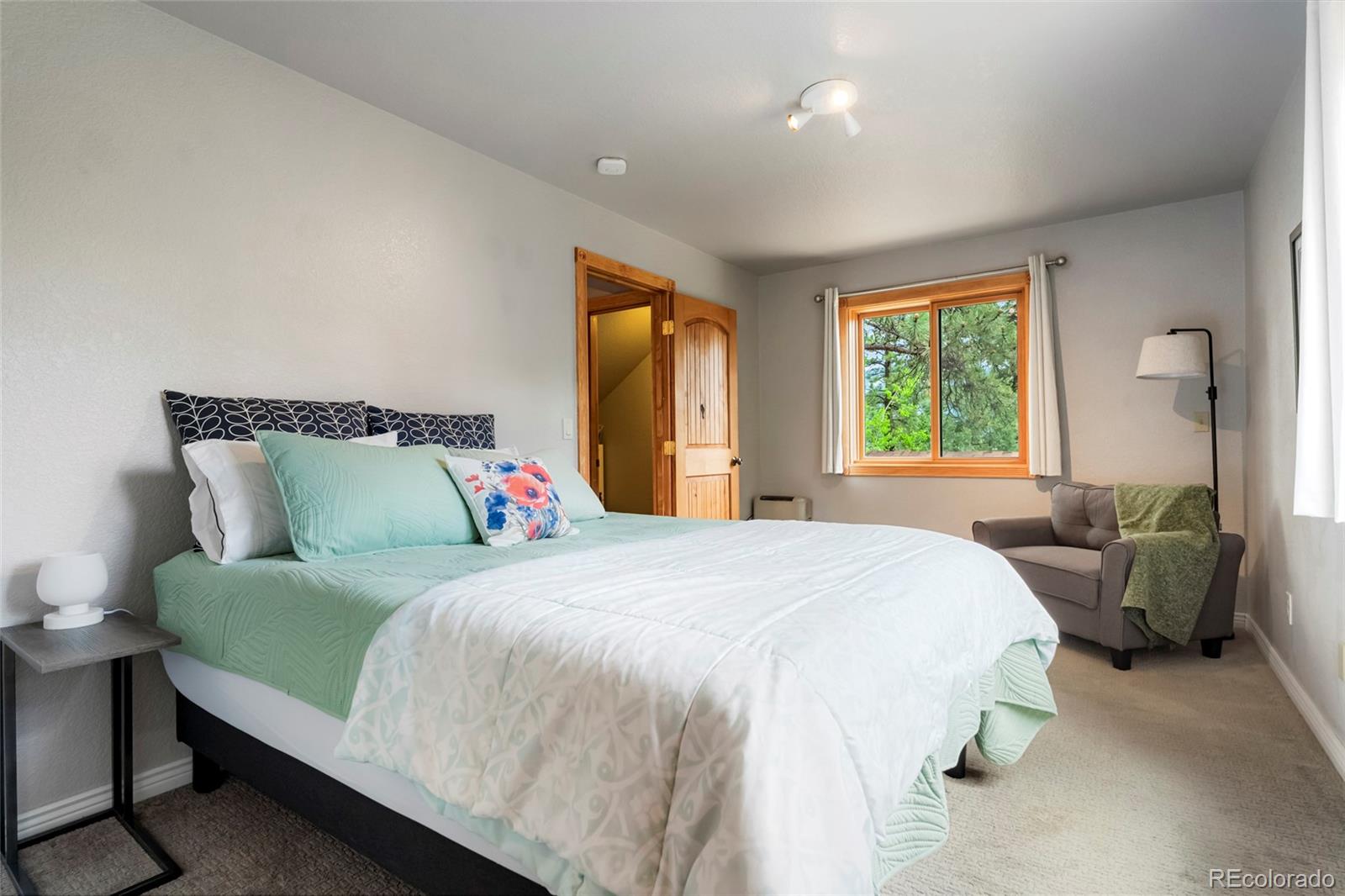 MLS Image #39 for 302  miners way,bailey, Colorado