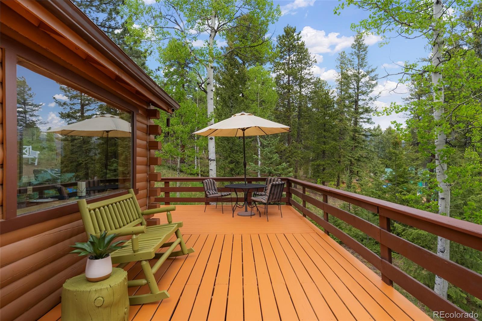 MLS Image #4 for 302  miners way,bailey, Colorado