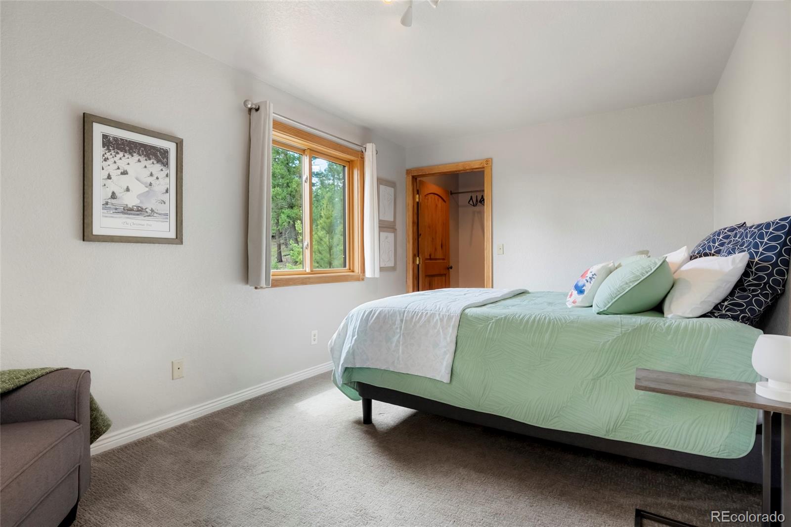 MLS Image #40 for 302  miners way,bailey, Colorado