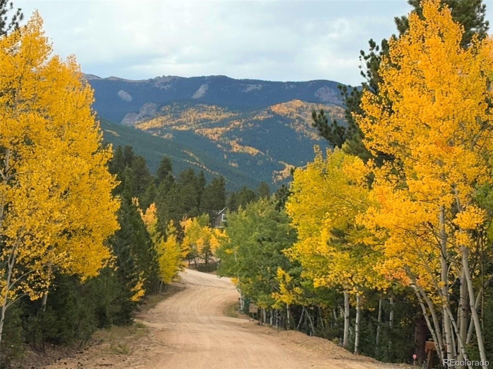 MLS Image #43 for 302  miners way,bailey, Colorado