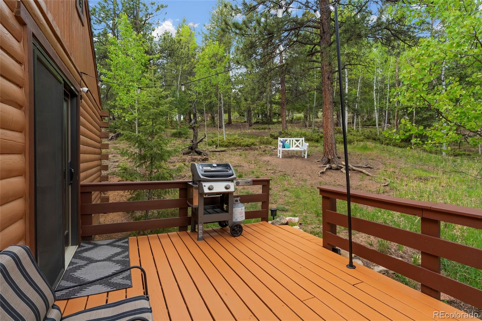 MLS Image #7 for 302  miners way,bailey, Colorado