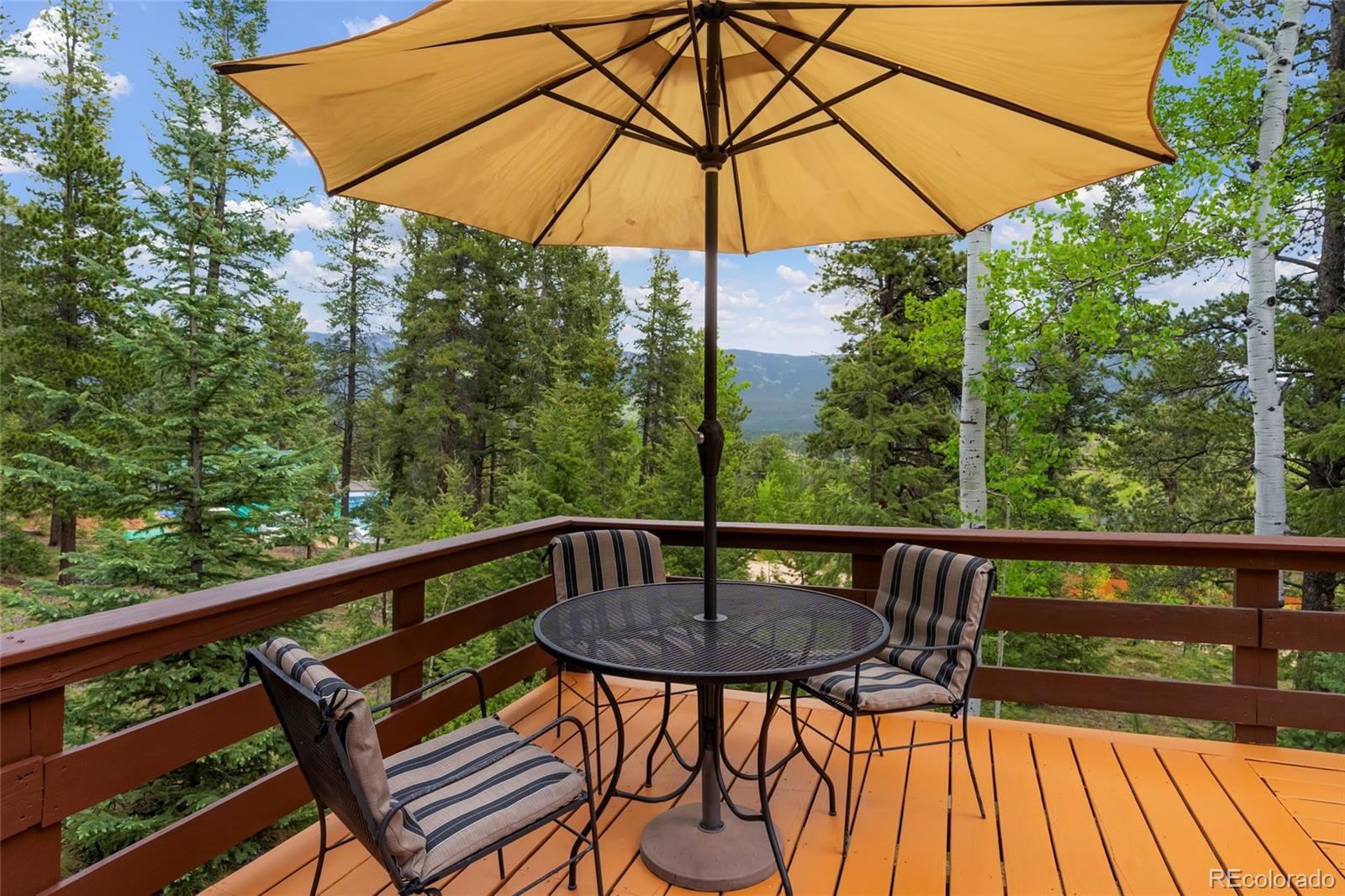 MLS Image #8 for 302  miners way,bailey, Colorado