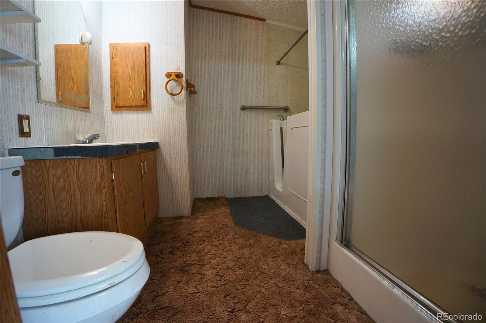 MLS Image #15 for 825  glen ayre street,dacono, Colorado