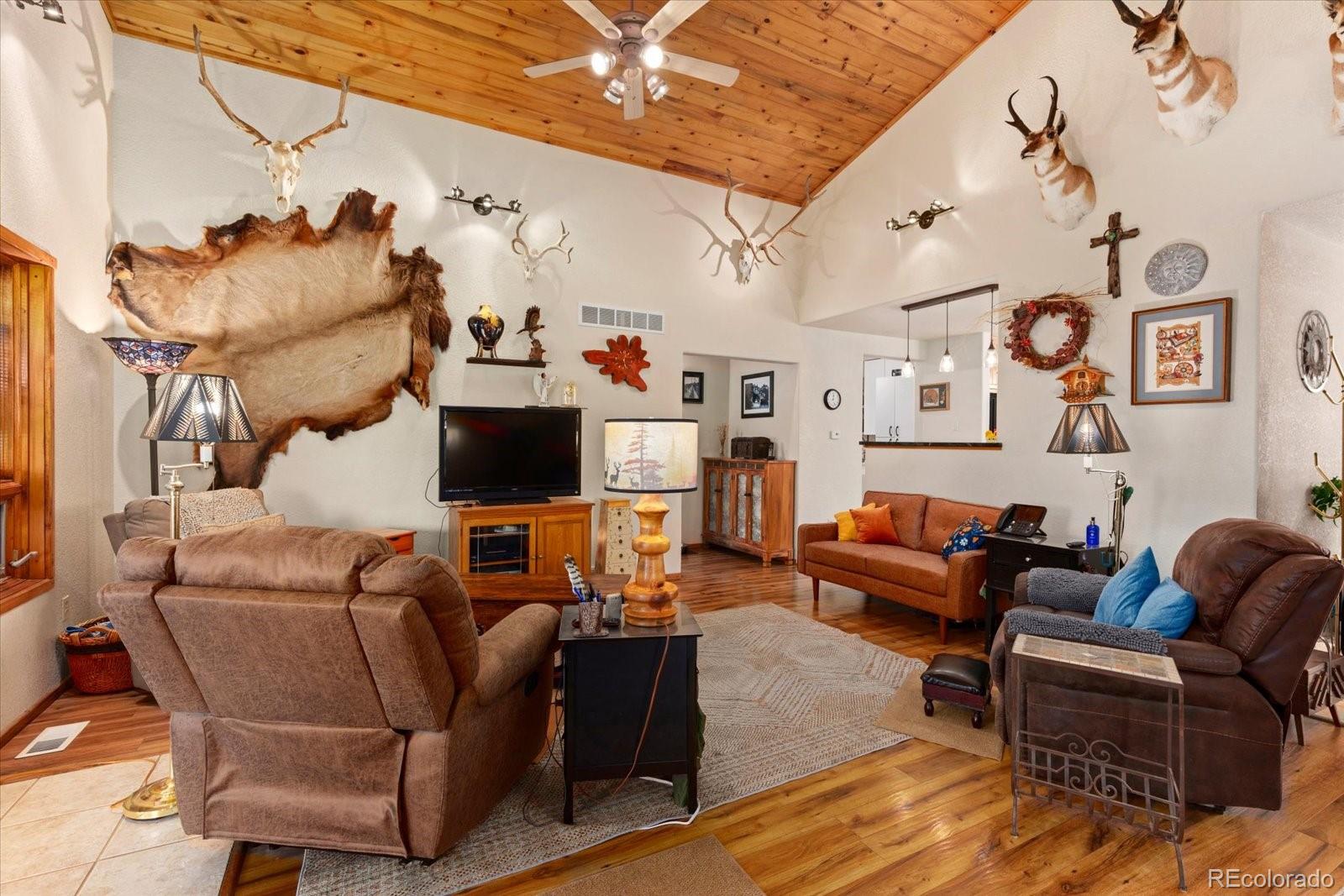 MLS Image #4 for 12077  us highway 285 ,salida, Colorado