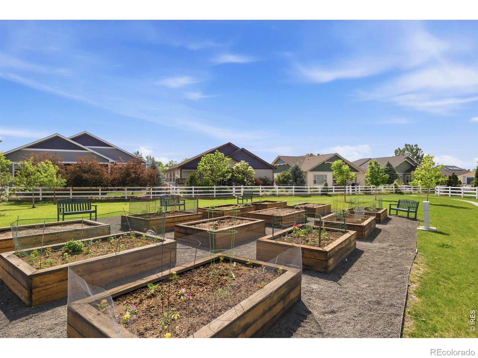 MLS Image #41 for 6739  snowdon drive,fort collins, Colorado