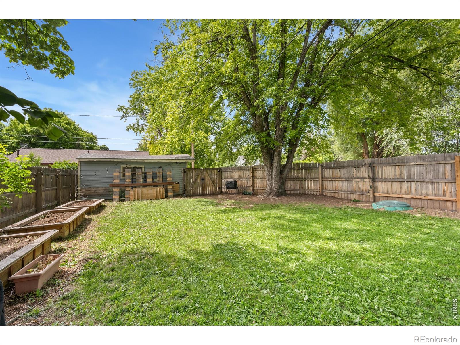 MLS Image #20 for 640  albany avenue,loveland, Colorado
