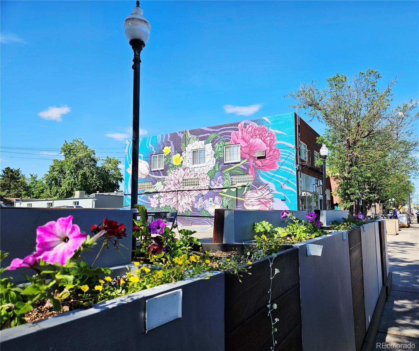 MLS Image #31 for 3715  marshall street,wheat ridge, Colorado