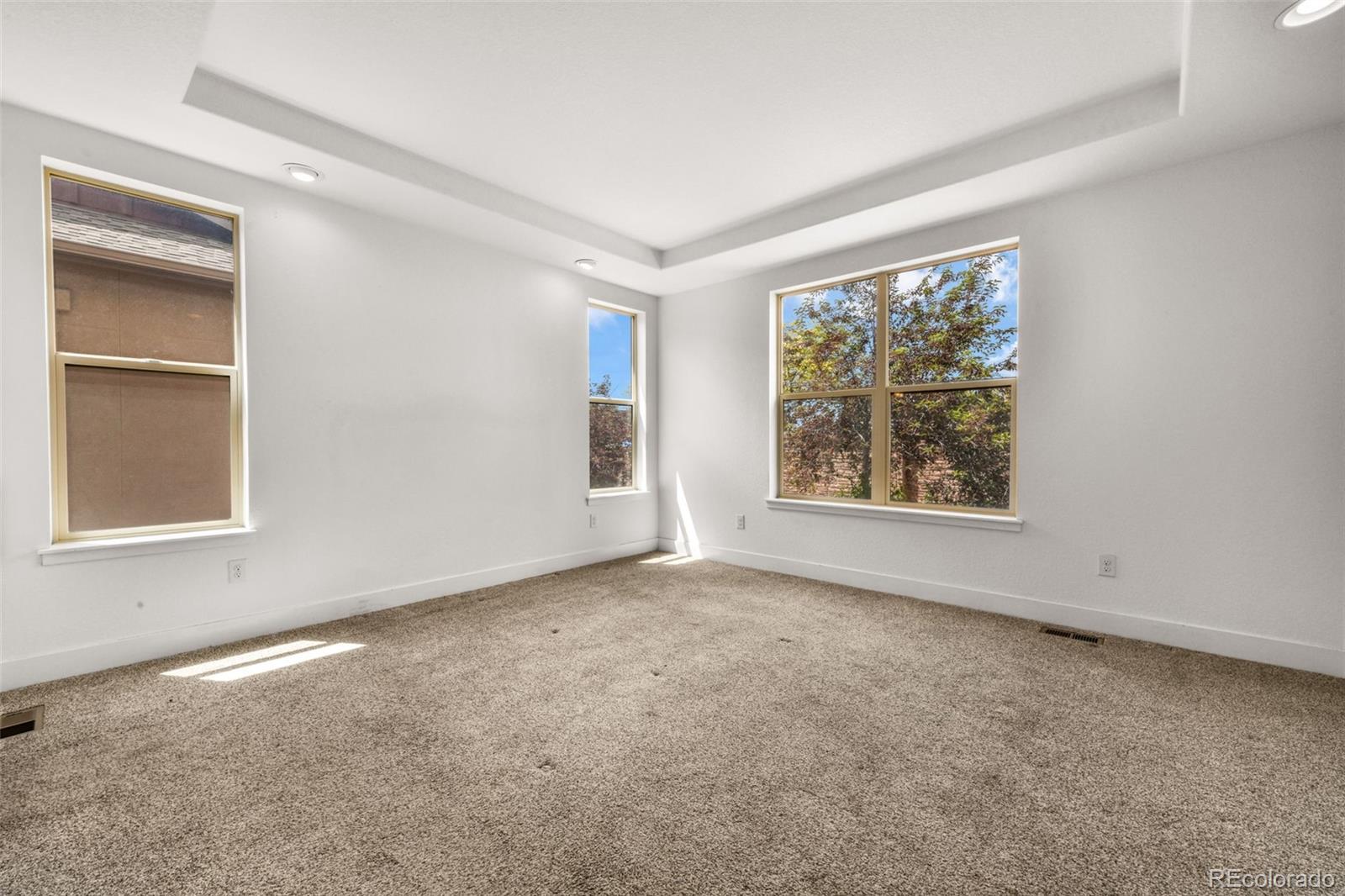 MLS Image #19 for 3324  union jack way,colorado springs, Colorado