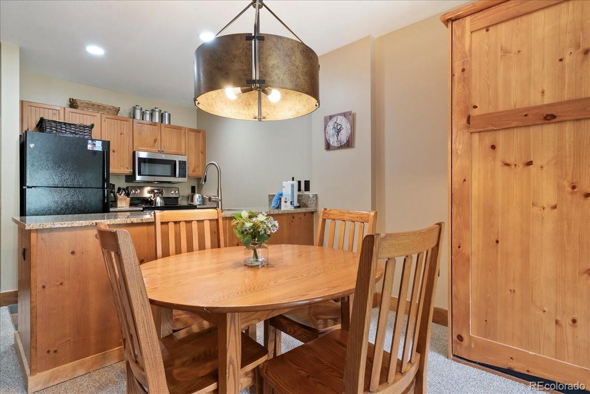MLS Image #10 for 53  hunki dori court,dillon, Colorado