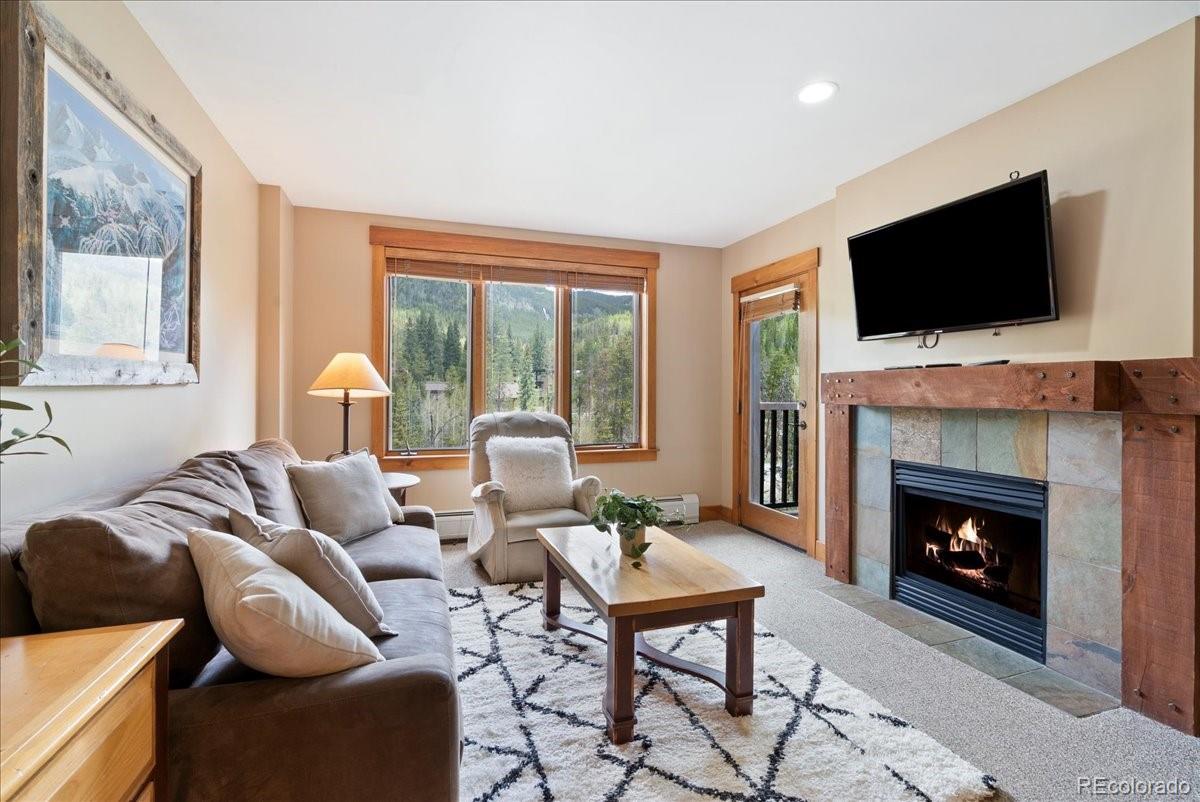 MLS Image #4 for 53  hunki dori court,dillon, Colorado
