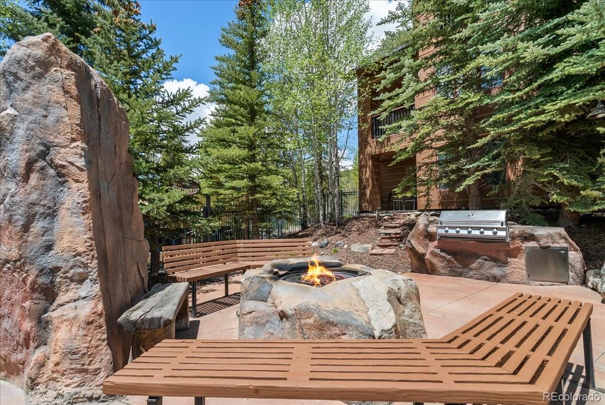 MLS Image #42 for 53  hunki dori court,dillon, Colorado
