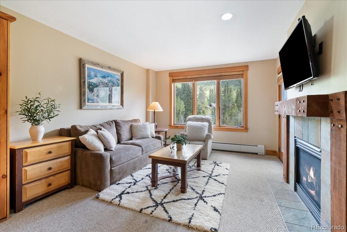 MLS Image #5 for 53  hunki dori court,dillon, Colorado