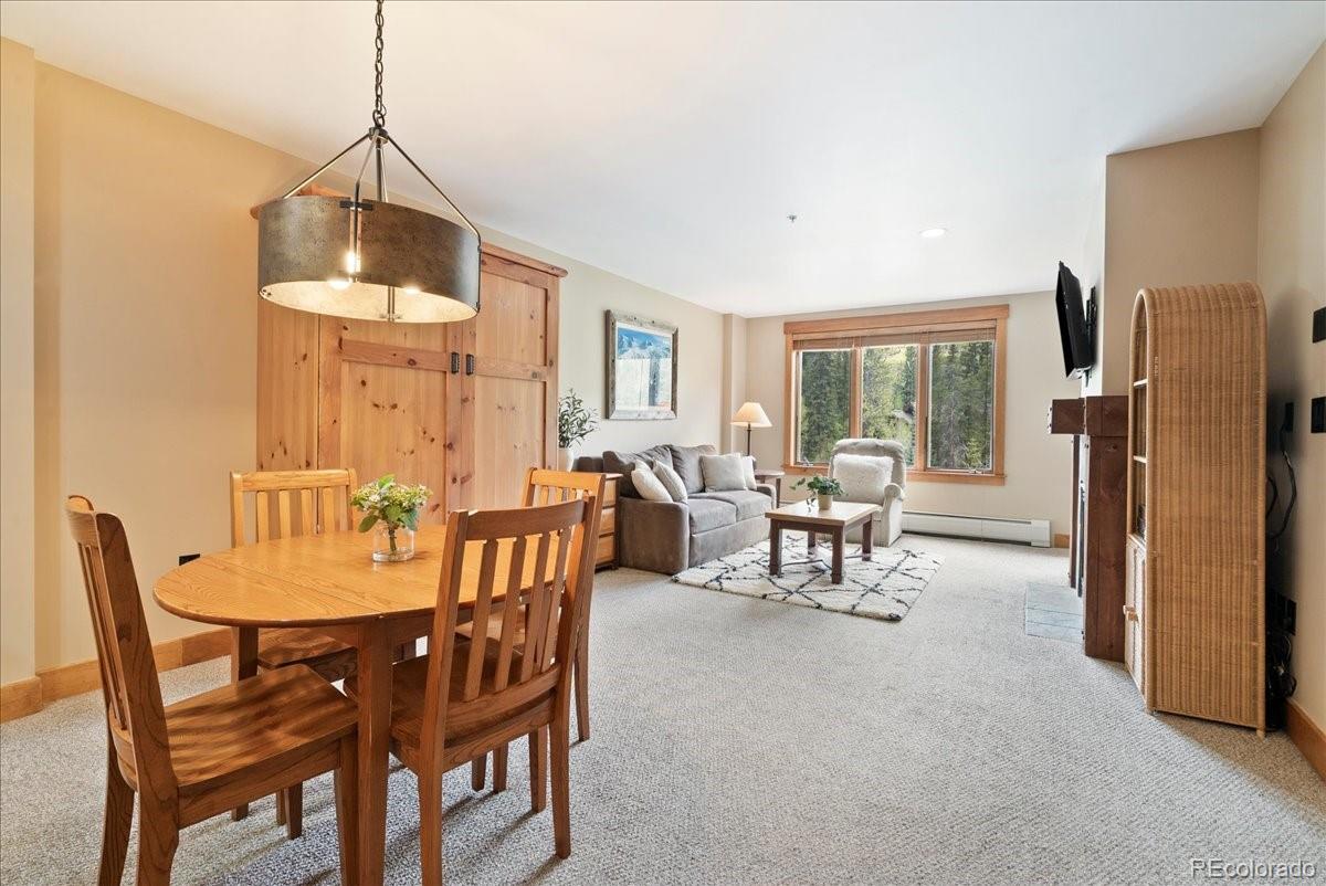 MLS Image #8 for 53  hunki dori court,dillon, Colorado