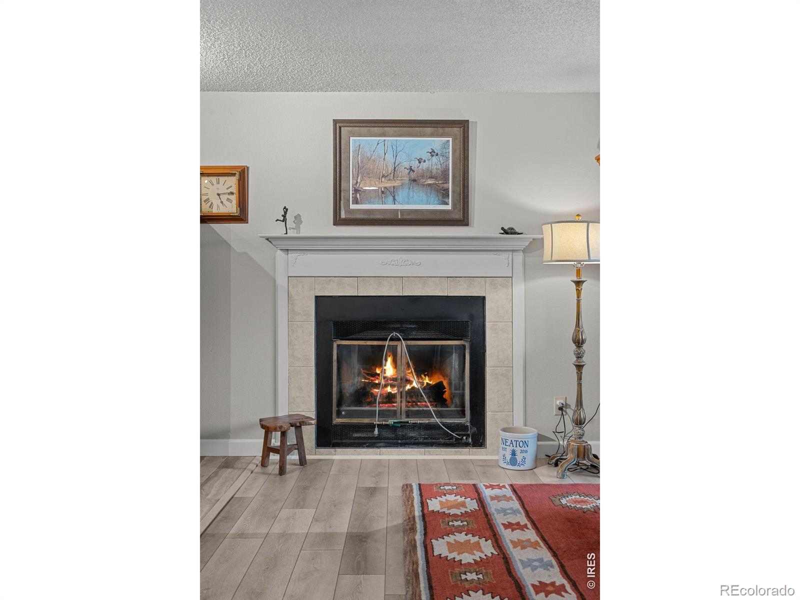MLS Image #18 for 717  10th street,windsor, Colorado