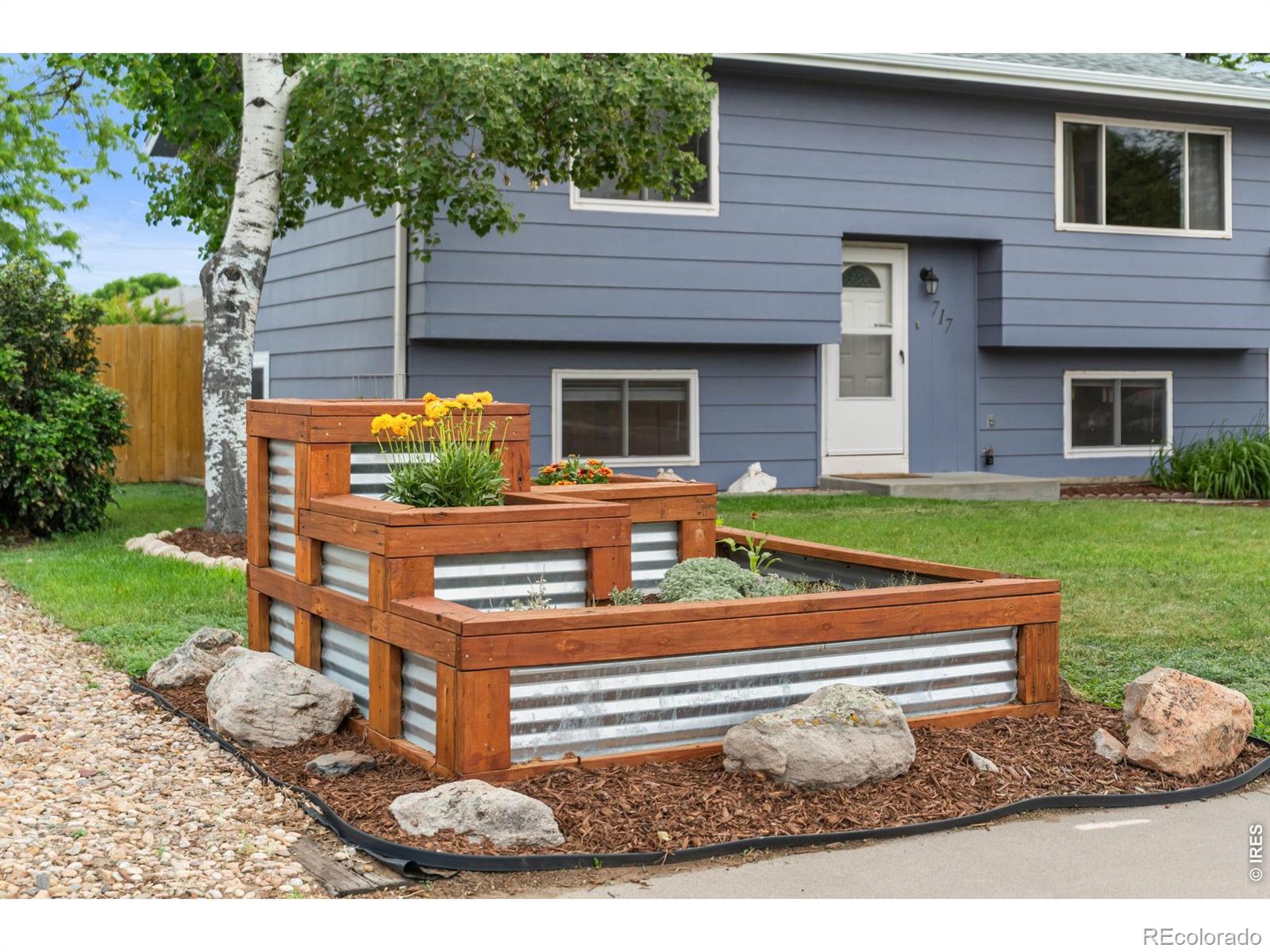 MLS Image #2 for 717  10th street,windsor, Colorado