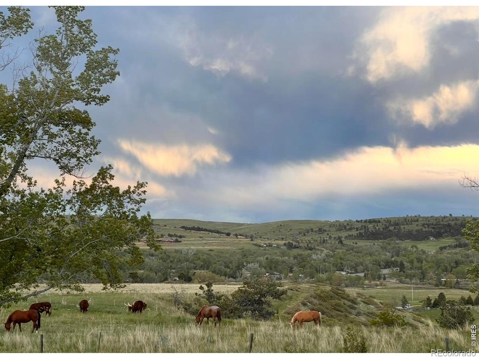 MLS Image #43 for 3784  telluride lane,boulder, Colorado