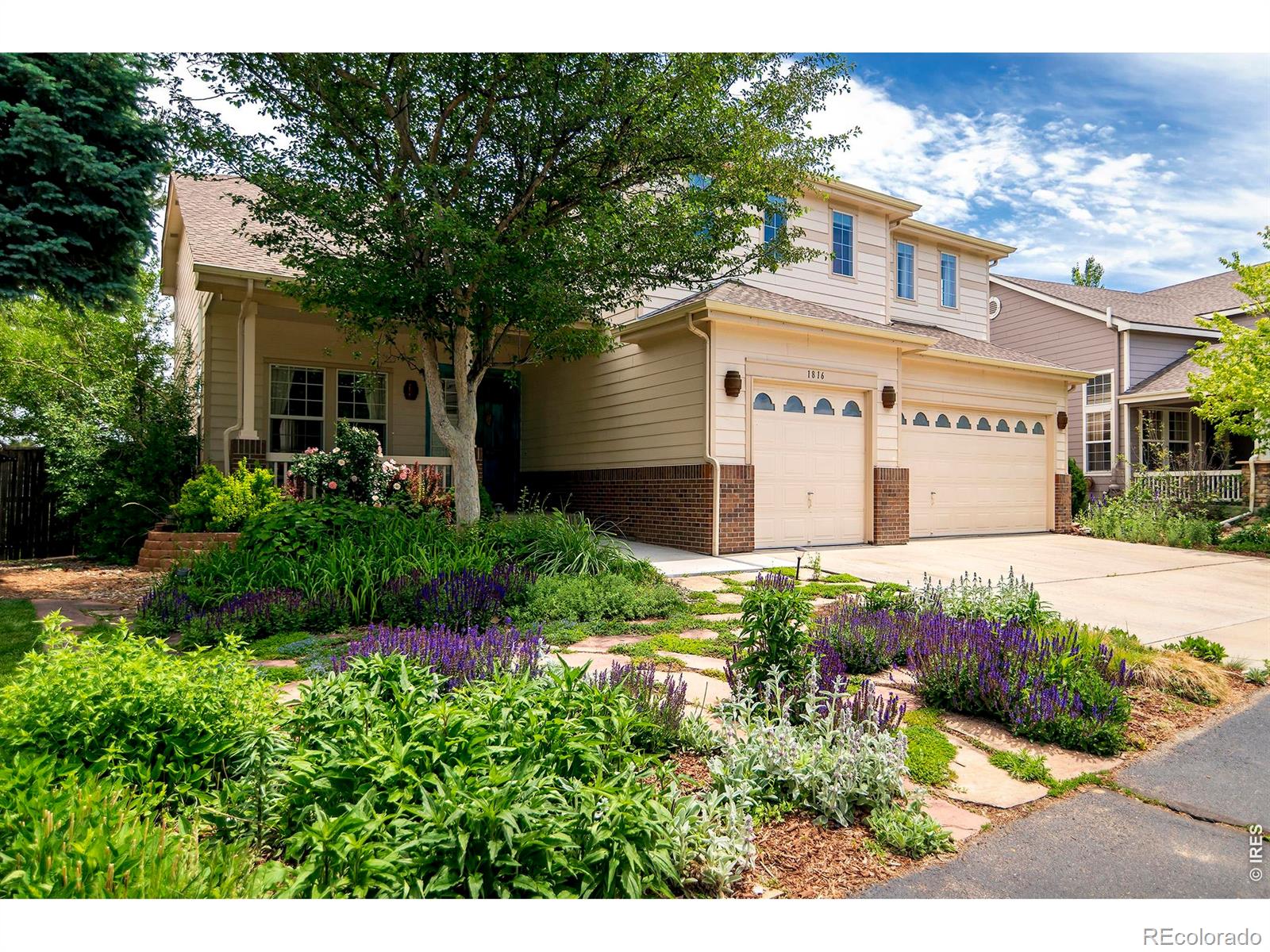 MLS Image #1 for 1816  alpine street,longmont, Colorado